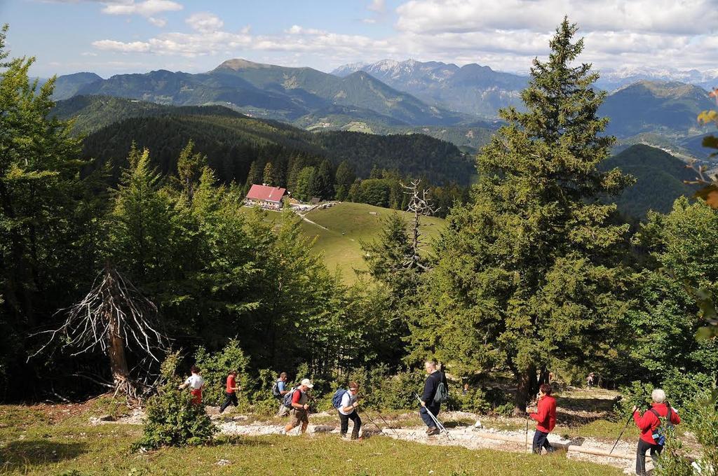 Apartmaji Srnca Cerkno Esterno foto
